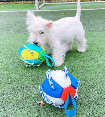 Αναπηδώντας μπάλα ποδοσφαίρου για σκύλους
