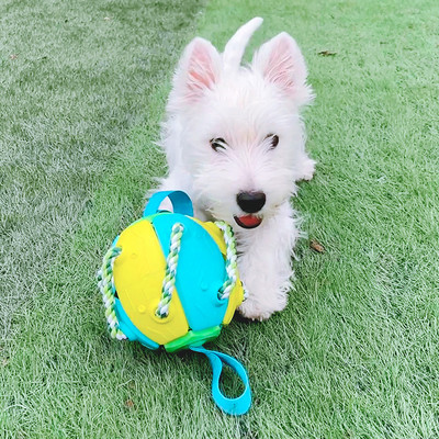 Nogometna lopta za pse