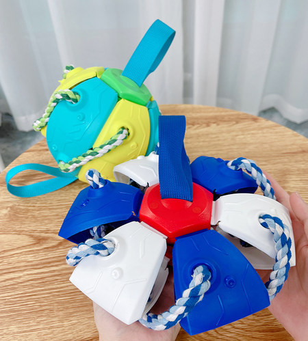 Nogometna lopta za pse