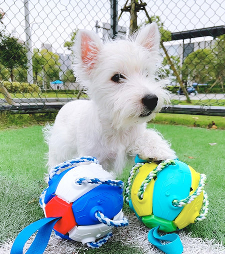 Nogometna lopta za pse