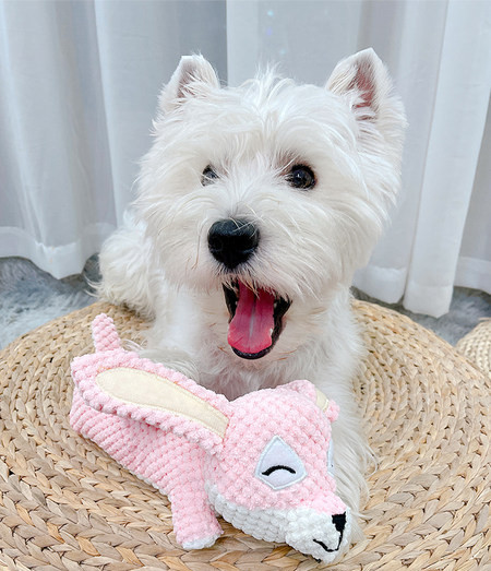 Igračka za pse sa zvukom