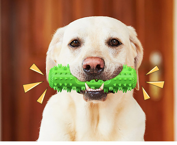 Jucărie din cauciuc cu sunet pentru câini