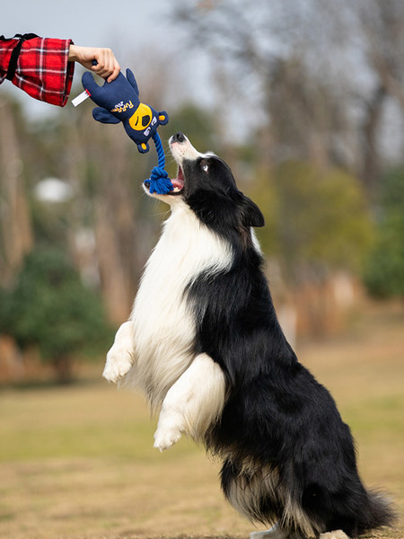 Mușcătură de jucărie pentru câini - mai multe culori