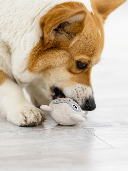 Jucărie de plus cu inscripție - pentru câini