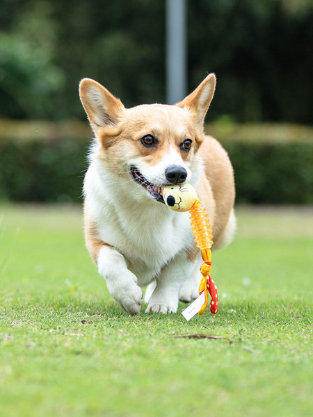 Koera plüüsist mänguasi - mitu mudelit