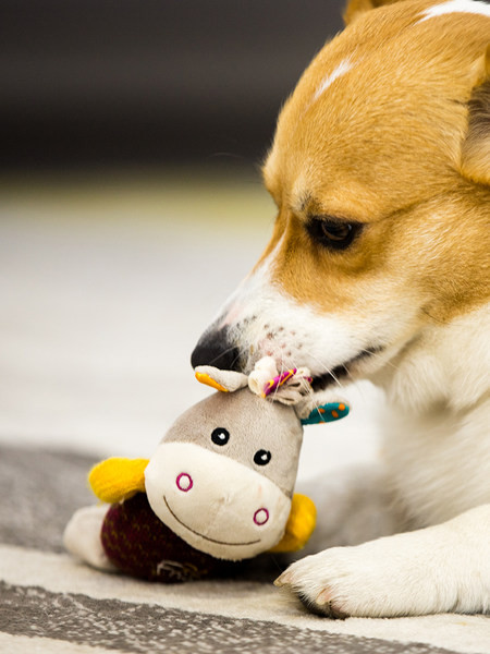 Jucărie de pluș colorată pentru animale de companie