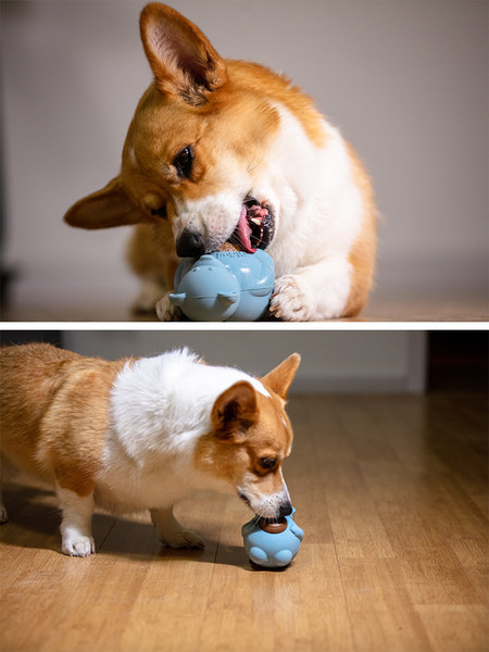 Παιχνίδι για μάσημα σκυλιών