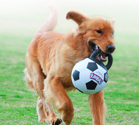 Lopta za pse s ručkom