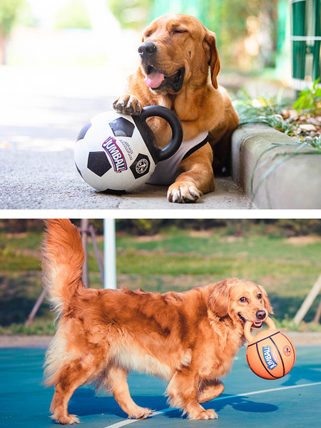 Lopta za pse s ručkom