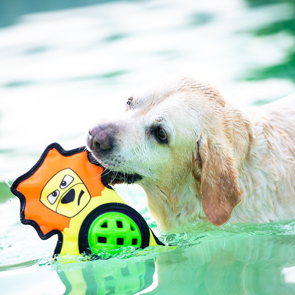 Jucărie textilă de mestecat pentru câini