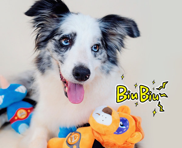 Βελούδινο παιχνίδι σκύλου για μάσημα