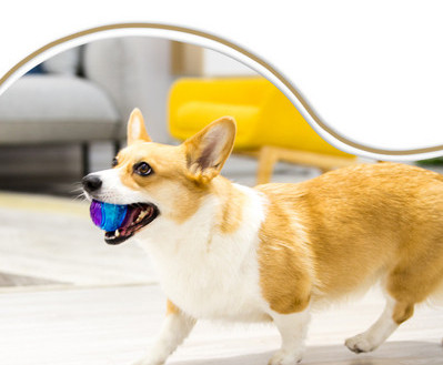Играчка за дъвчене подходяща за кучета