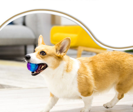 Košļājamā rotaļlieta, kas piemērota suņiem