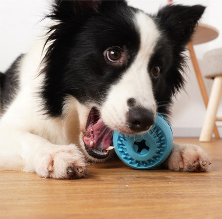 Jucărie pentru câini din cauciuc rezistentă la mușcătură