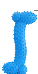 Erinevad kummist mänguasjade mudelid koertele