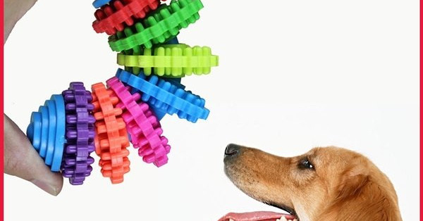 Erinevad kummist mänguasjade mudelid koertele