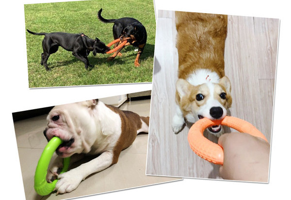 Jucărie frisbee pentru câini