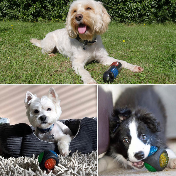 Kummist mänguasi närimiskoertele