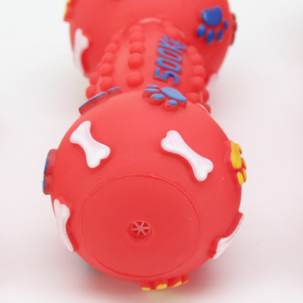 Kummist mänguasi koertele kirjaga