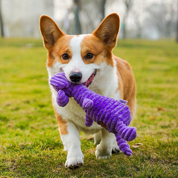 Βελούδινο  παιχνίδι για σκύλους - διαφορετικά μοντέλα