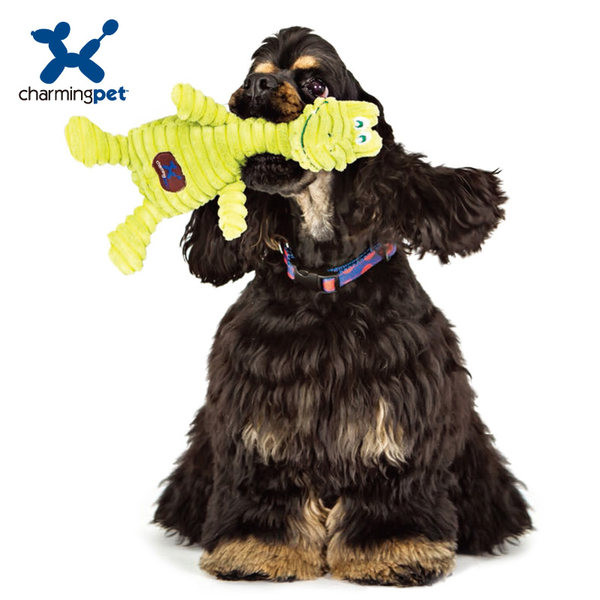 Βελούδινο  παιχνίδι για σκύλους - διαφορετικά μοντέλα