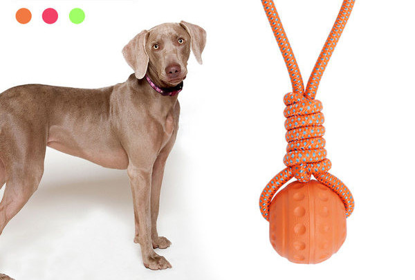 Παιχνίδι για σκύλους - πολλά χρώματα