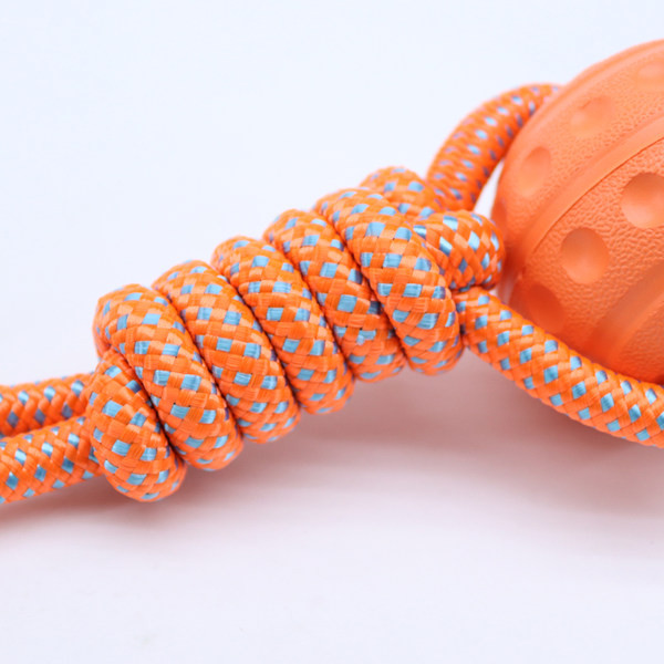 Παιχνίδι για σκύλους - πολλά χρώματα