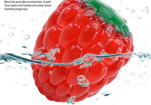 Silikoonist mänguasi koertele