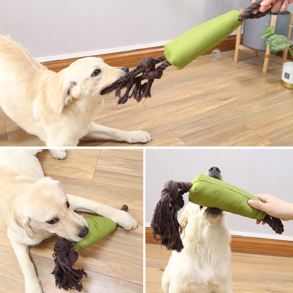 Koerahammustustele vastupidav tekstiilist köis