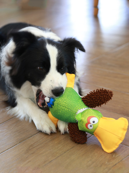 Rață de jucărie pentru câini de plus