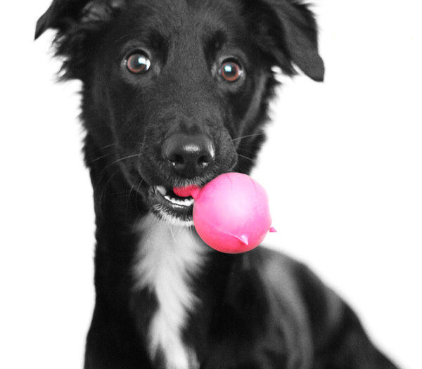 Jucărie din silicon pentru câini cu sunet