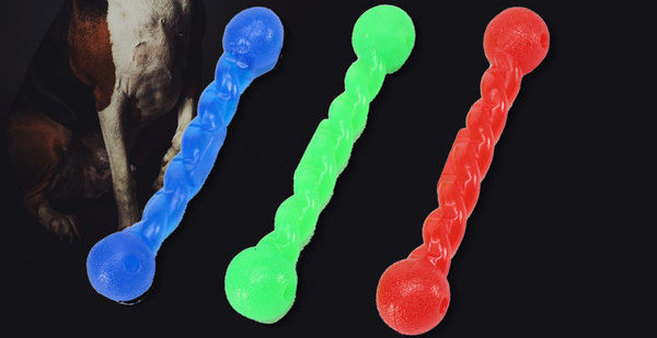 Silikoonist mänguasi koertele