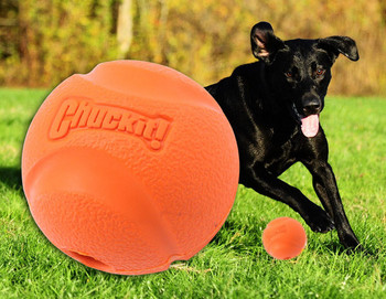 Λαστιχένια μπάλα-παιχνίδι για σκύλους