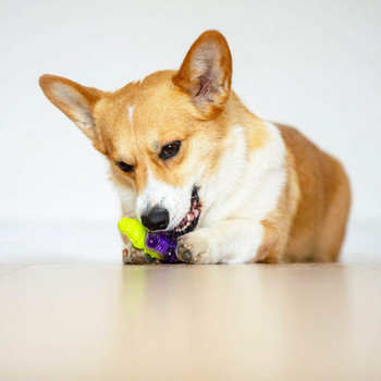 Гумена играчка за кучета -във формата на животни