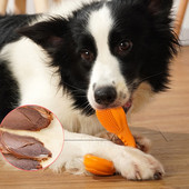 Mușcătură de câine în mai multe culori