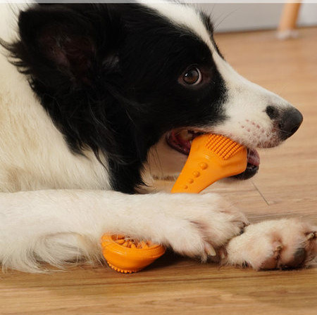 Mușcătură de câine în mai multe culori