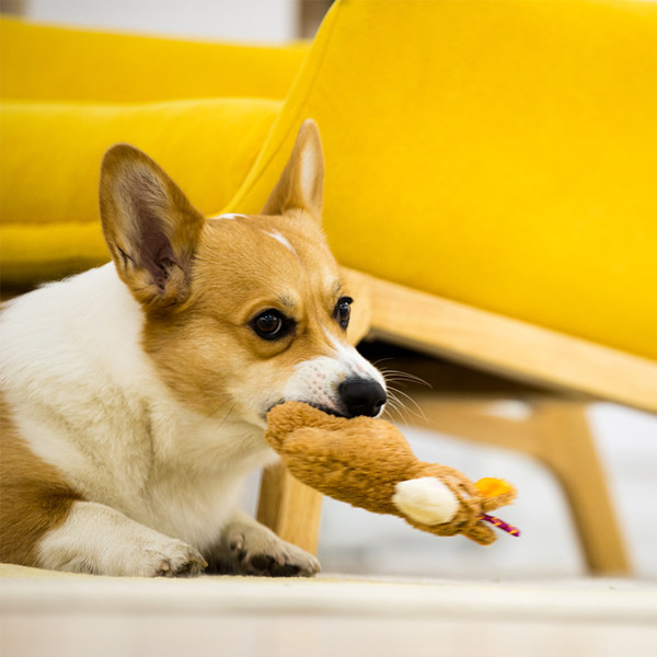 Närimiseks mõeldud pehme koeramänguasi