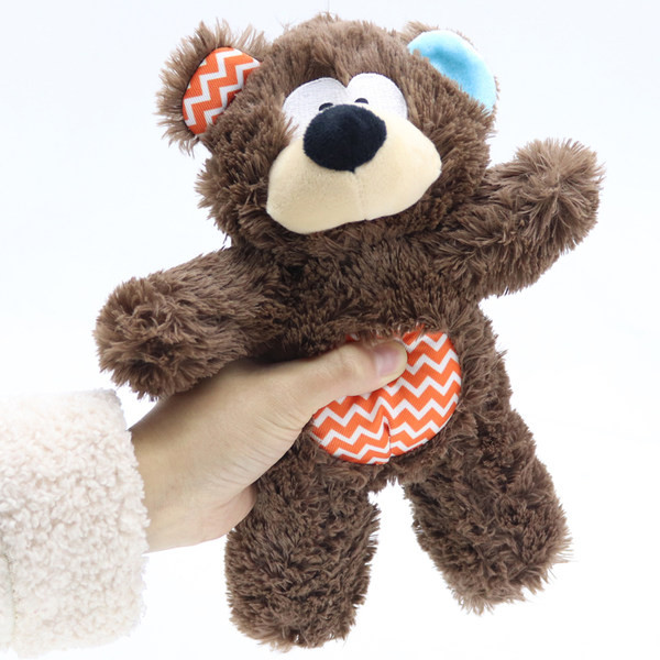 Palus koeramänguasi