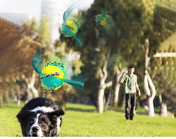 Λαστιχένια μπάλα frisbee για σκύλους