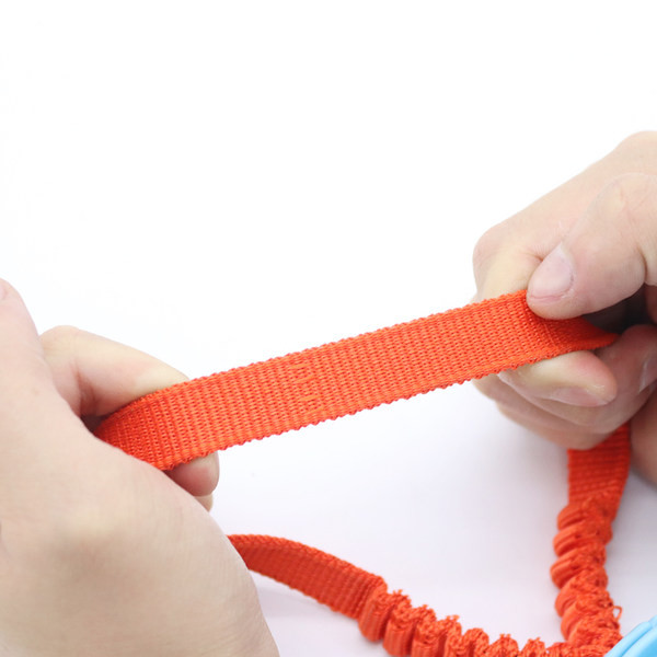 Koera mänguasi palliga