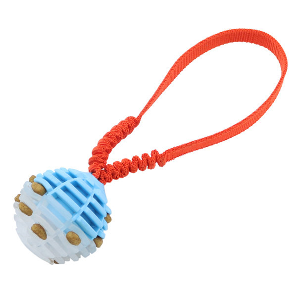 Koera mänguasi palliga