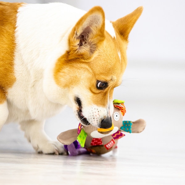 Jucărie pentru câini de pluș