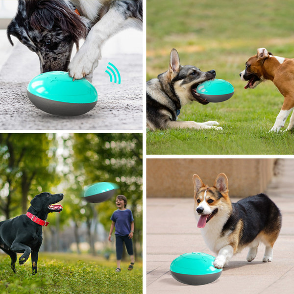 Παιχνίδι με θήκη φαγητού - για σκύλους