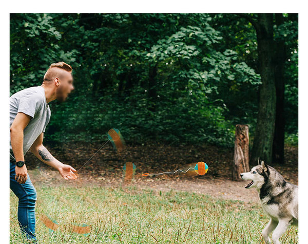 Παιχνίδι σκύλου με σύνδεση