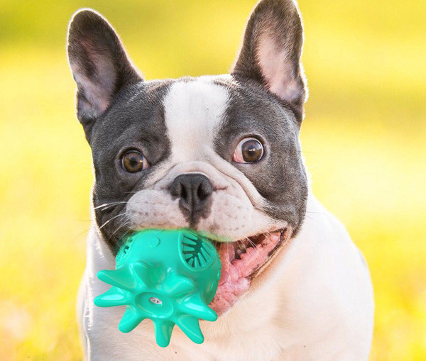 Λαστιχένιο παιχνίδι σε τρία χρώματα