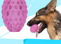 Kolmes suuruses kummist mängupall koertele