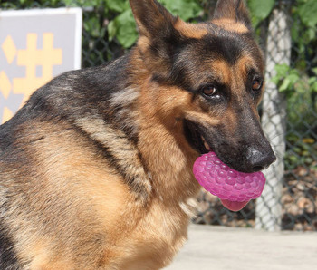 Гумена играчка топка за кучета три размера