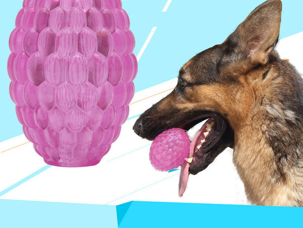 Kolmes suuruses kummist mängupall koertele