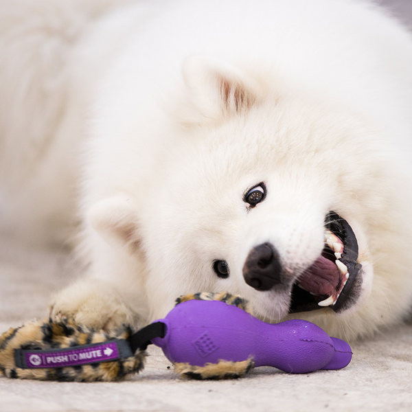 Rață de jucărie din cauciuc pentru câini