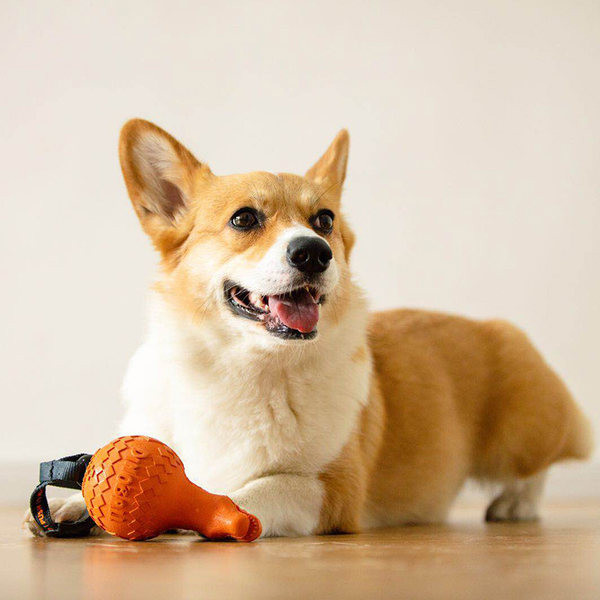 Rață de jucărie din cauciuc pentru câini